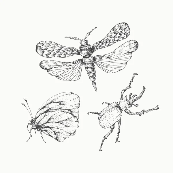 Handgetekende insecten — Stockvector
