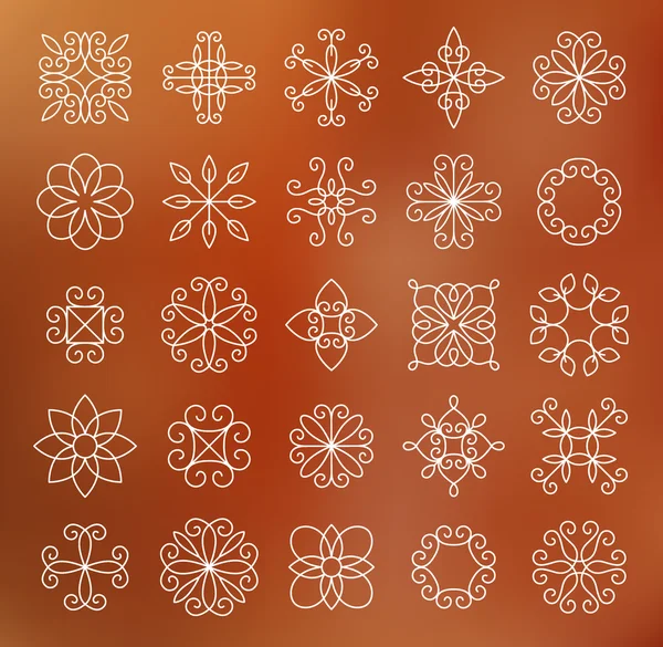 Ligne de contour fleurs — Image vectorielle