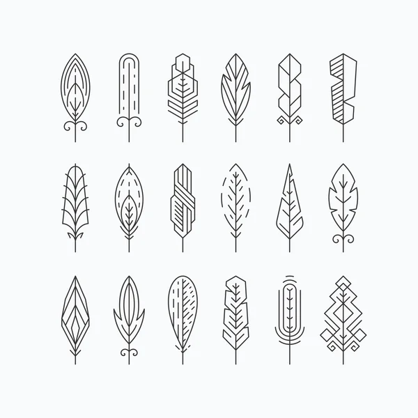 Graphical line feathers set. — Stock Vector