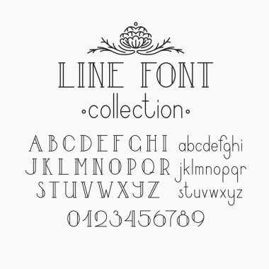 Vector mono line decorative font and numerals.