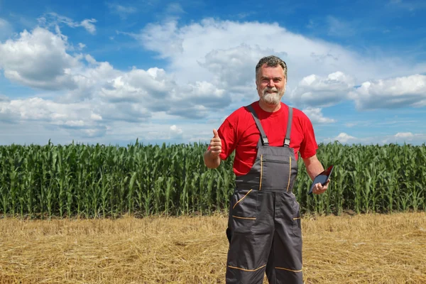 农业场景，玉米和麦田的农民 — 图库照片