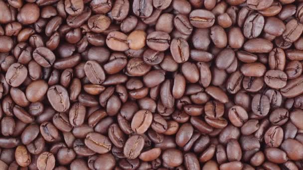 コーヒー豆は、Hd ビデオをズームします。 — ストック動画