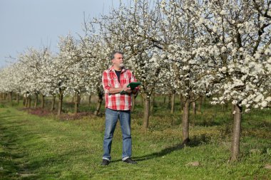 Çiftçi ya da çiçek açması Erik meyve bahçesi içinde Ziraat Mühendisi