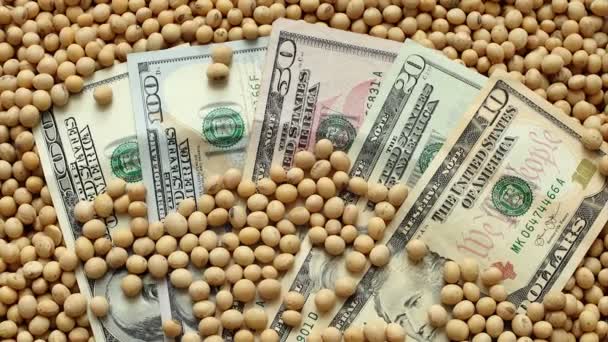 Conceito agrícola de soja e dinheiro, vídeo HD — Vídeo de Stock