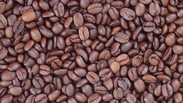 Girando grãos de café HD de vídeo — Vídeo de Stock