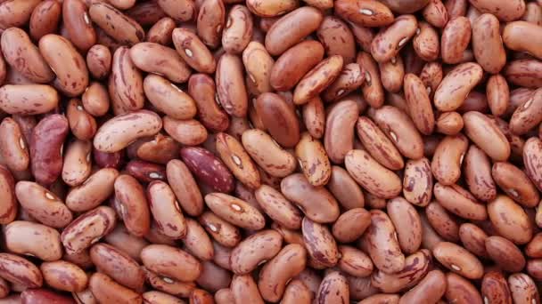 Brown beans heap, horizontal panning video — Stock Video