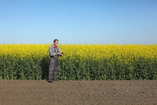 Agricultor ou agrônomo no campo de colza florescente — Fotografia de Stock
