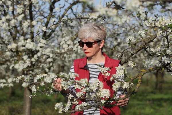 Farmer or agronomist in blossoming plum orchard — Stock Photo, Image