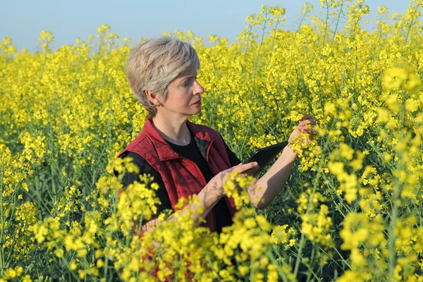 Çiftçi ya da çiçek açması kolza tohumu alanındaki bilimsel tarım uzmanı — Stok fotoğraf