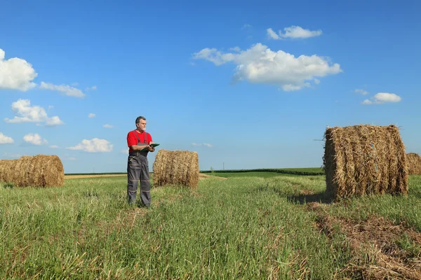 Boer en Baal hooi in veld — Stockfoto