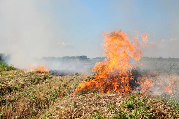 Fuego en el campo —  Fotos de Stock