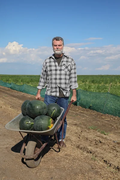 Agricultor y sandía — Foto de Stock