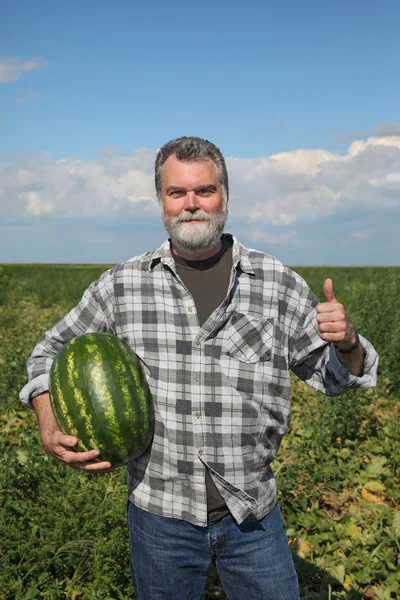 Agricultor y sandía — Foto de Stock