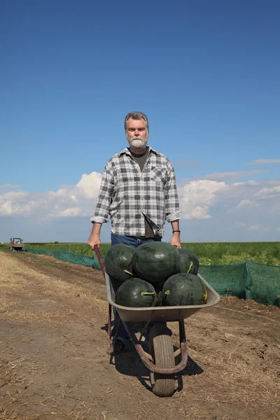 Bonde och vattenmelon — Stockfoto