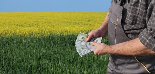 Agricultor Segurando Nota Dólar Nas Mãos Com Campos Trigo Verde — Fotografia de Stock