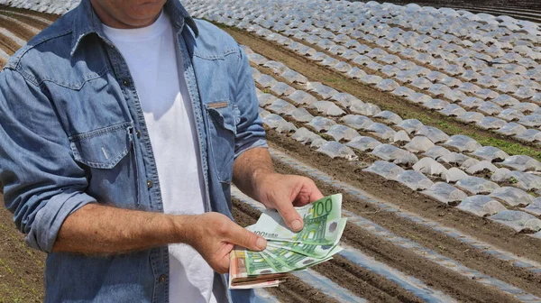 Zemědělci Drží Eurobankovky Rukou Plastovými Skleníky Meloun Nebo Vodní Meloun — Stock fotografie