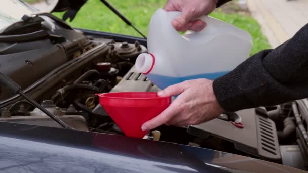 Driver Pouring Windshield Washer Fluid Car — Stock Video