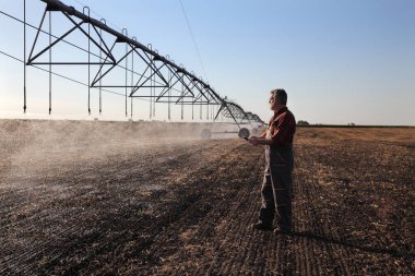 Mısır ektikten sonra tarlada sulama sistemini inceleyen çiftçi ya da tarımcı. İlkbaharda tablete ve tarıma daktilo yazıyor.