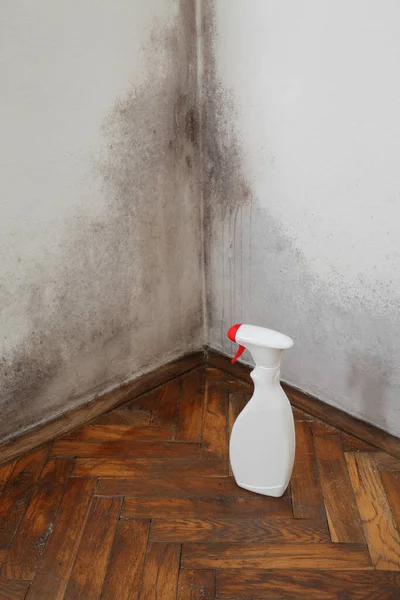 Antigua Pared Casa Con Molde Solución Limpieza Una Botella — Foto de Stock