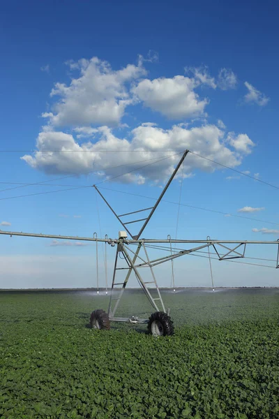春の大豆畑には 給水用の灌漑システム 植物に水を流すスプリンクラー 美しい青空と白い雲があります — ストック写真