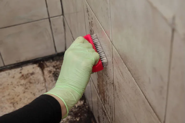 Female Hand Protective Glove Cleaning Dirty Tiles Using Small Cleaning — Stock Photo, Image