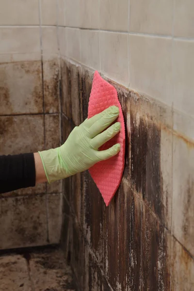 女用手拿着防护手套 用海绵擦拭垫子擦拭肮脏的瓷砖 脏乱肮脏的浴室 非常糟糕 — 图库照片