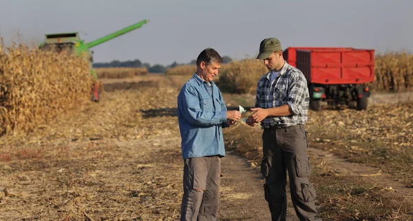 Bauer Und Käufer Halten Euro Schein Mit Maisfeld Mit Traktor — Stockfoto