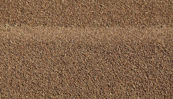 Wheat Background Heap Wheat Crop Harvest Selective Focus — Stock Photo, Image