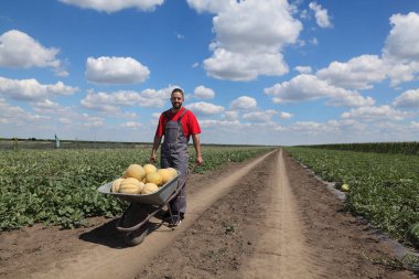 Köy yolundaki genç çiftçi tramvayı karpuzla tarladan geçirdi.
