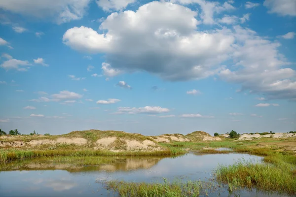 Sumpflandschaft — Stockfoto