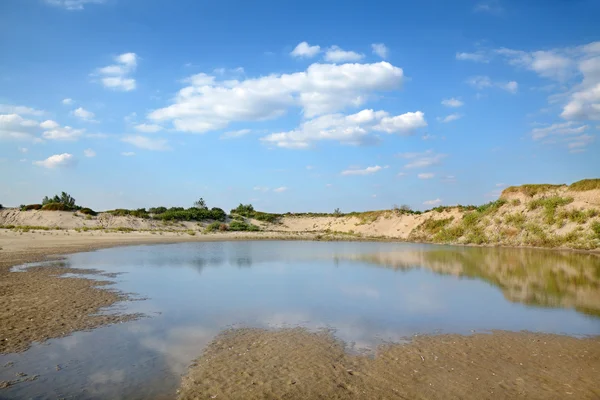 Sumpflandschaft — Stockfoto