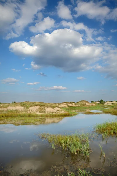 Marsh landscape — Stock Photo, Image