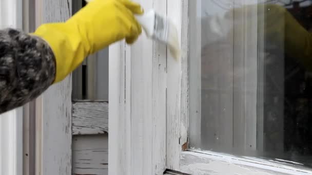 Casa renovação, reparação de janelas de madeira velha, pintura com pincel — Vídeo de Stock