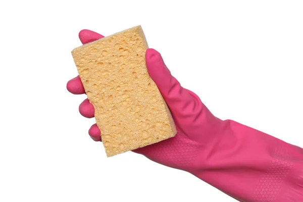 Cleaning equipment, sponge in hand — Stock Photo, Image