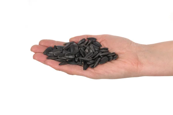 Sunflower seed in hand — Stock Photo, Image