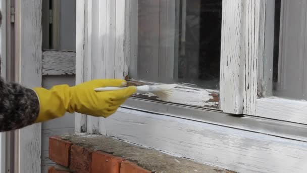 Renovación del hogar, pintura de trabajador vieja ventana de madera, mano en guante y pincel — Vídeo de stock