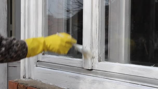Home renovation, worker painting old wooden window, hand in glove and paintbrush