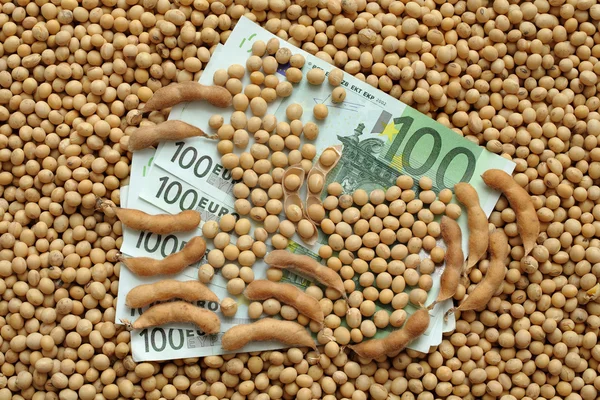 Concepto agrícola, soja y dinero — Foto de Stock