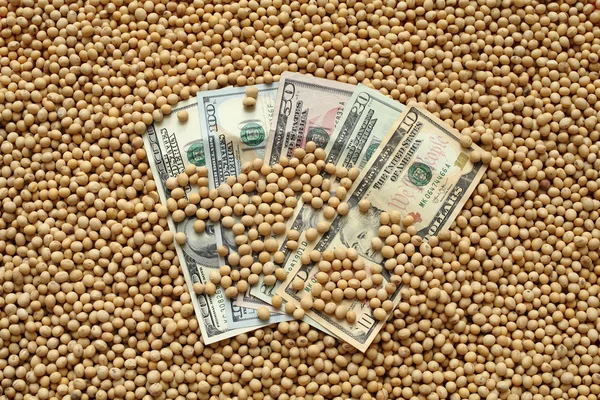 Agricultural concept, soybean and money — Stock Photo, Image