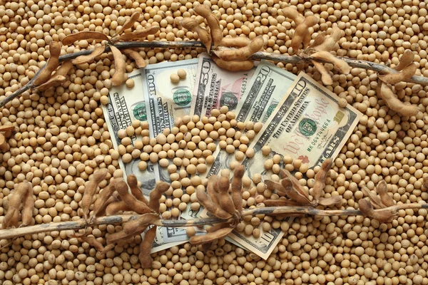 Concepto agrícola, soja y dinero —  Fotos de Stock
