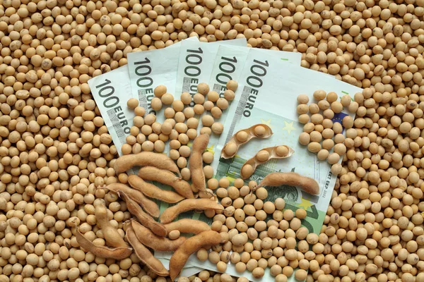 Concepto agrícola, soja y dinero en euros — Foto de Stock