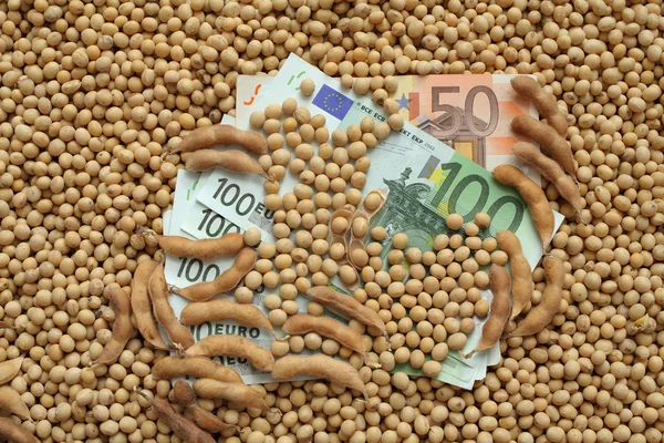 Agricultural concept, soybean and Euro money — Stock Photo, Image