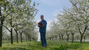 Çiçek açması kiraz ağaçları bahar ve çiftçi veya çiçek teftiş Ziraat Mühendisi