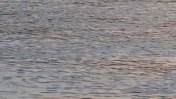 Agua que fluye con olas, ondas — Vídeos de Stock