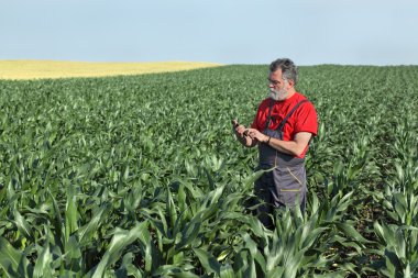 Tarım sahne, Mısır alanında çiftçi