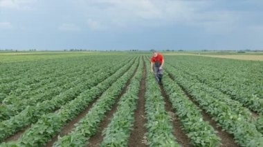 Tarım, soya tarlasında çiftçi