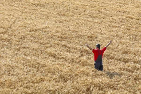 Tarım sahne, buğday alanında mutlu çiftçi — Stok fotoğraf