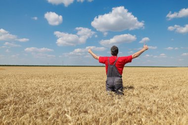 Tarım sahne, buğday alanında mutlu çiftçi