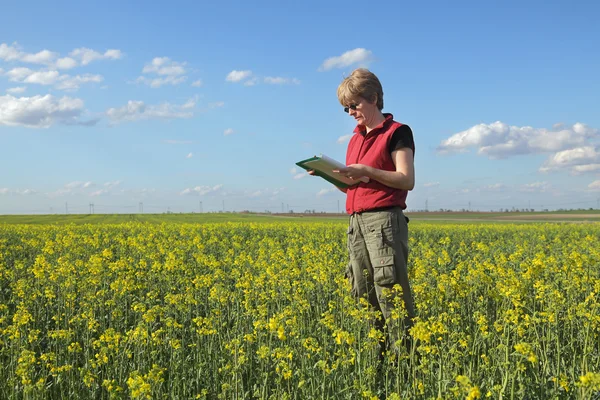 Zemědělství, farmář nebo agronom v poli řepky — Stock fotografie