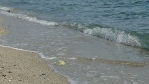 Olas marinas en la playa de arena — Vídeos de Stock